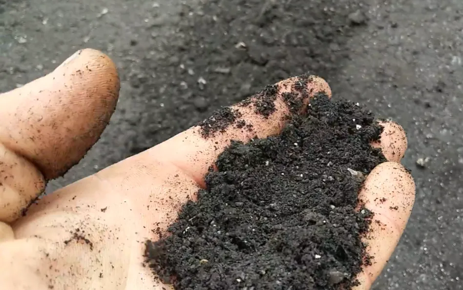 Dłoń trzymająca mielony materiał z recyklingu gontu asfaltowego